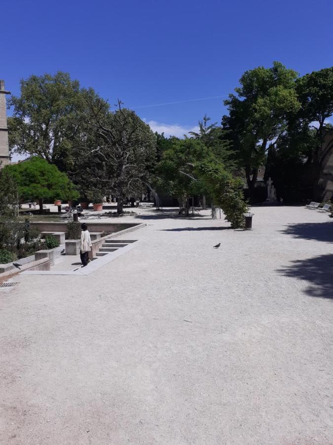 Studio Intra-Muros 5Mn Gare Centre Apartment Avignon Ngoại thất bức ảnh
